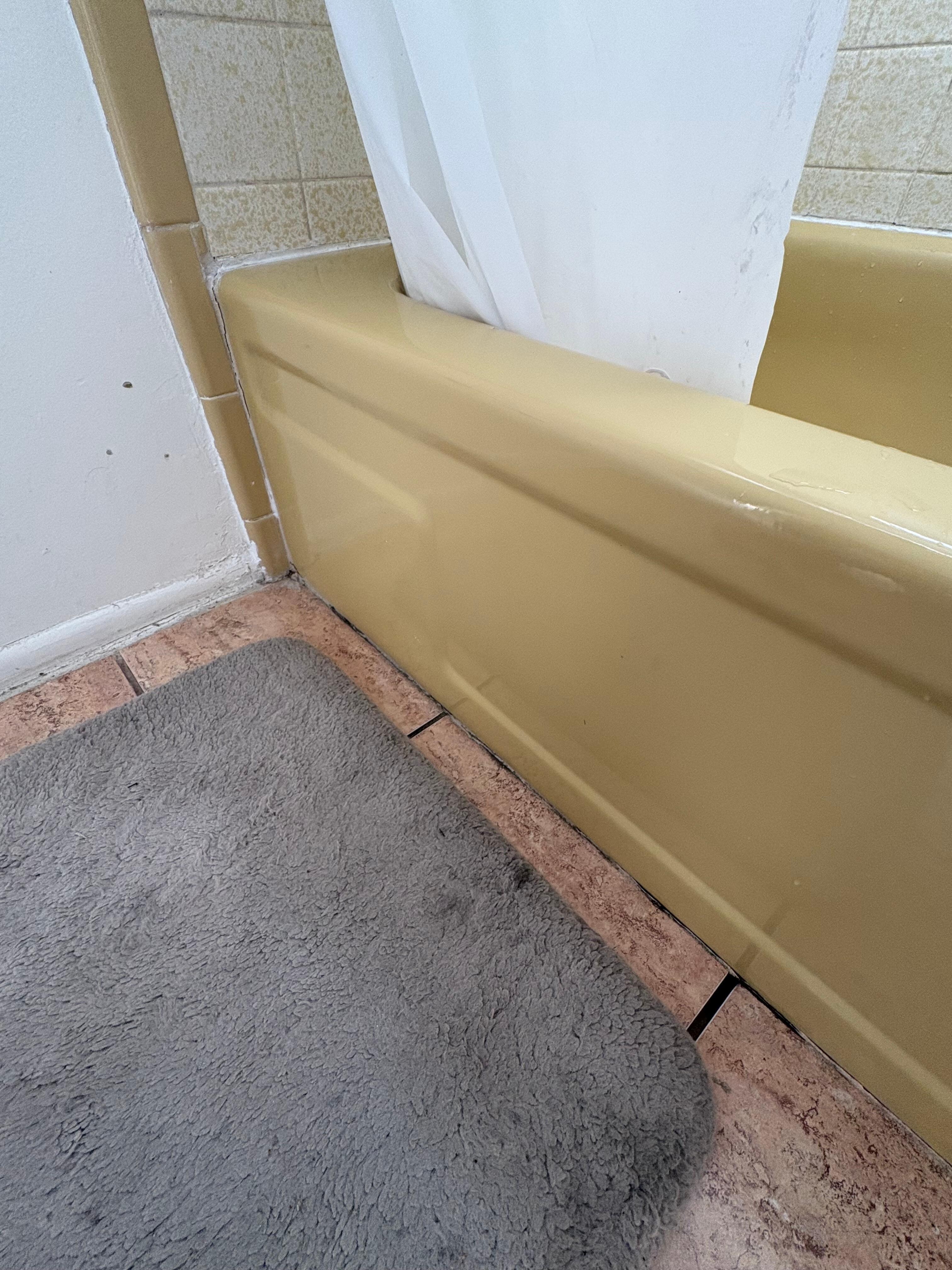 Guest bathtub mat and grout. 