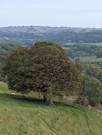 A lovely view