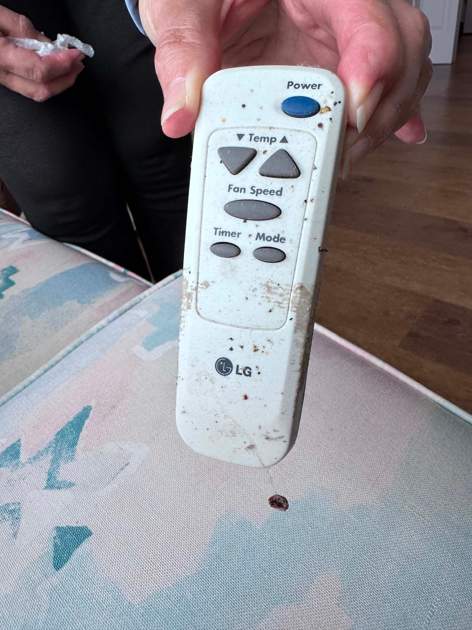 The remote for the bedroom ceiling fan, which was so dirty! Good we didn't need to turn it on!