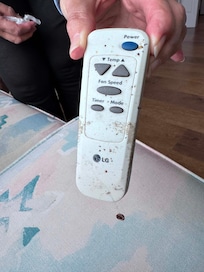 The remote for the bedroom ceiling fan, which was so dirty! Good we didn't need to turn it on!