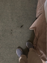 Looked like blood or something on carpet and curtains