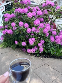 Beautiful gardens