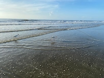 Beach is nice