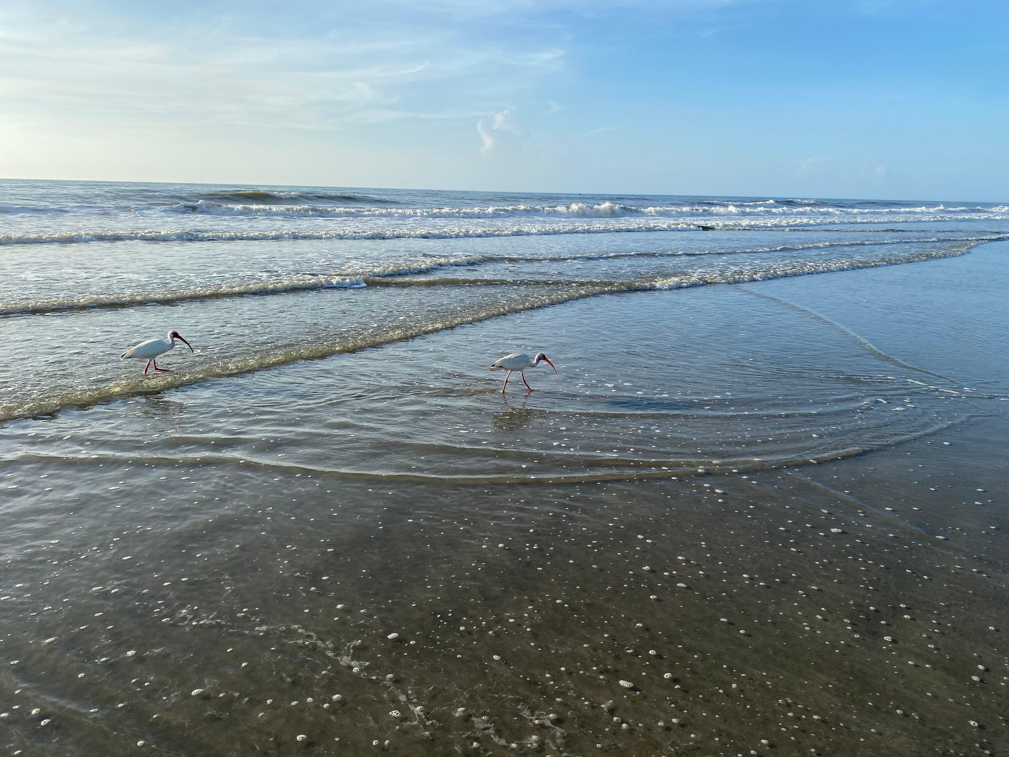 Beach is nice