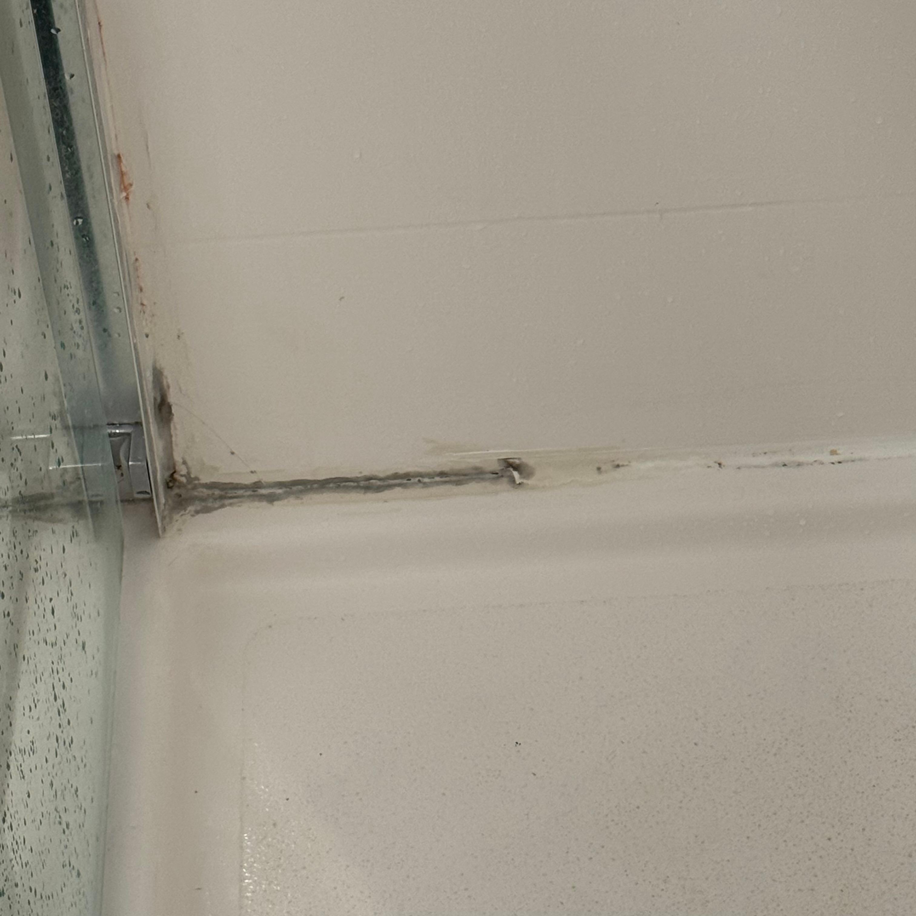 mold