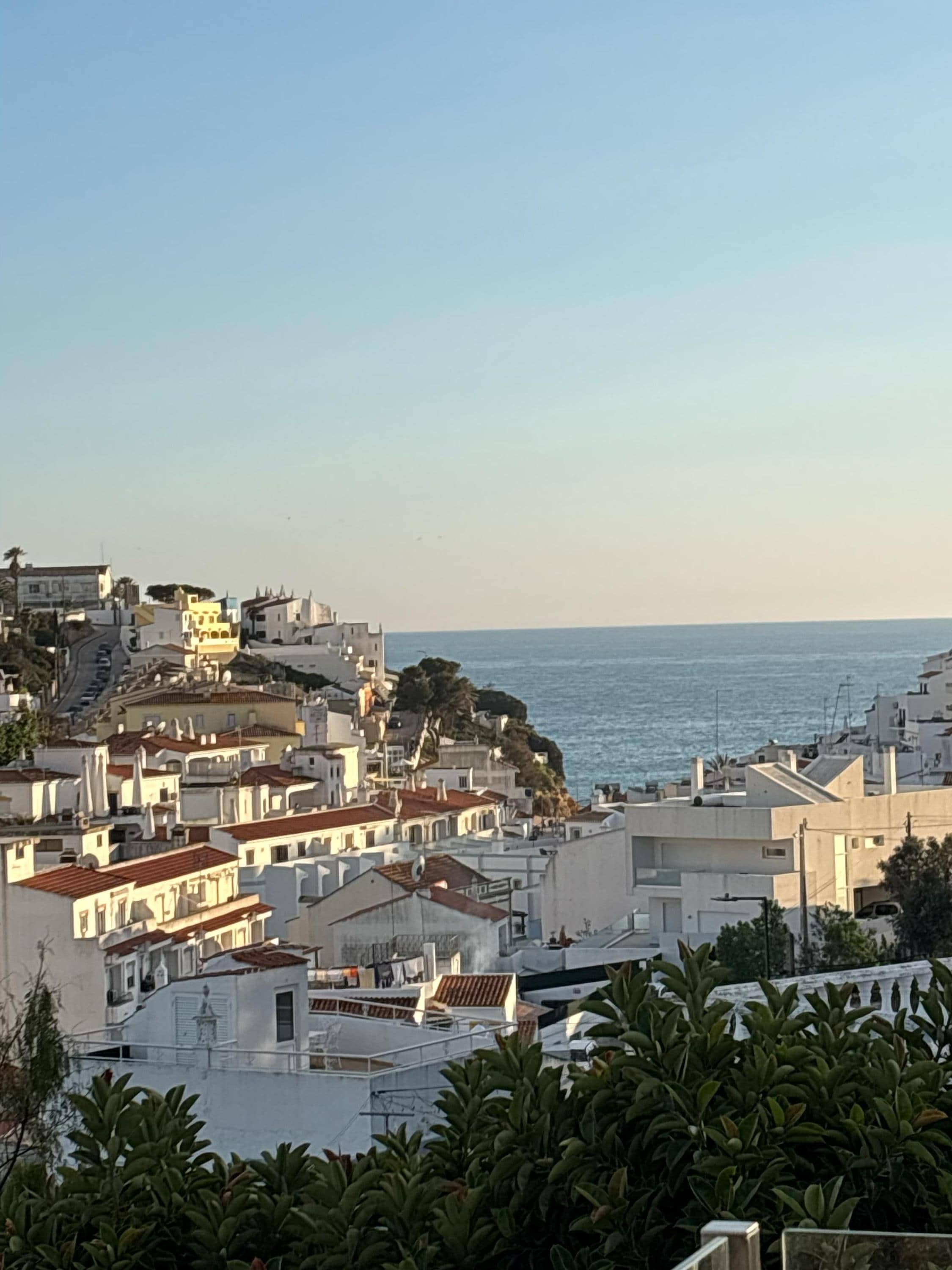 Main floor terrace view