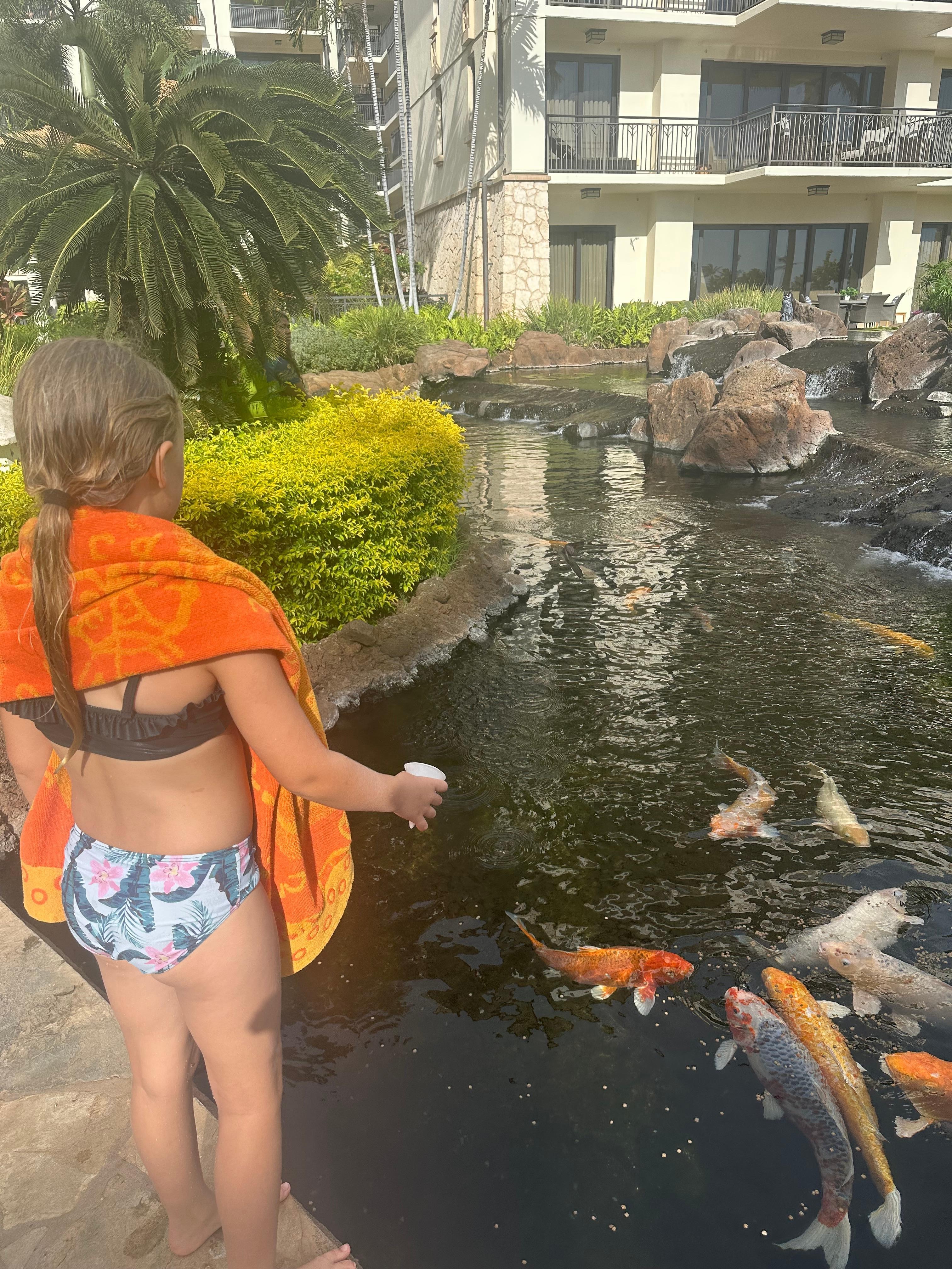 Koi ponds