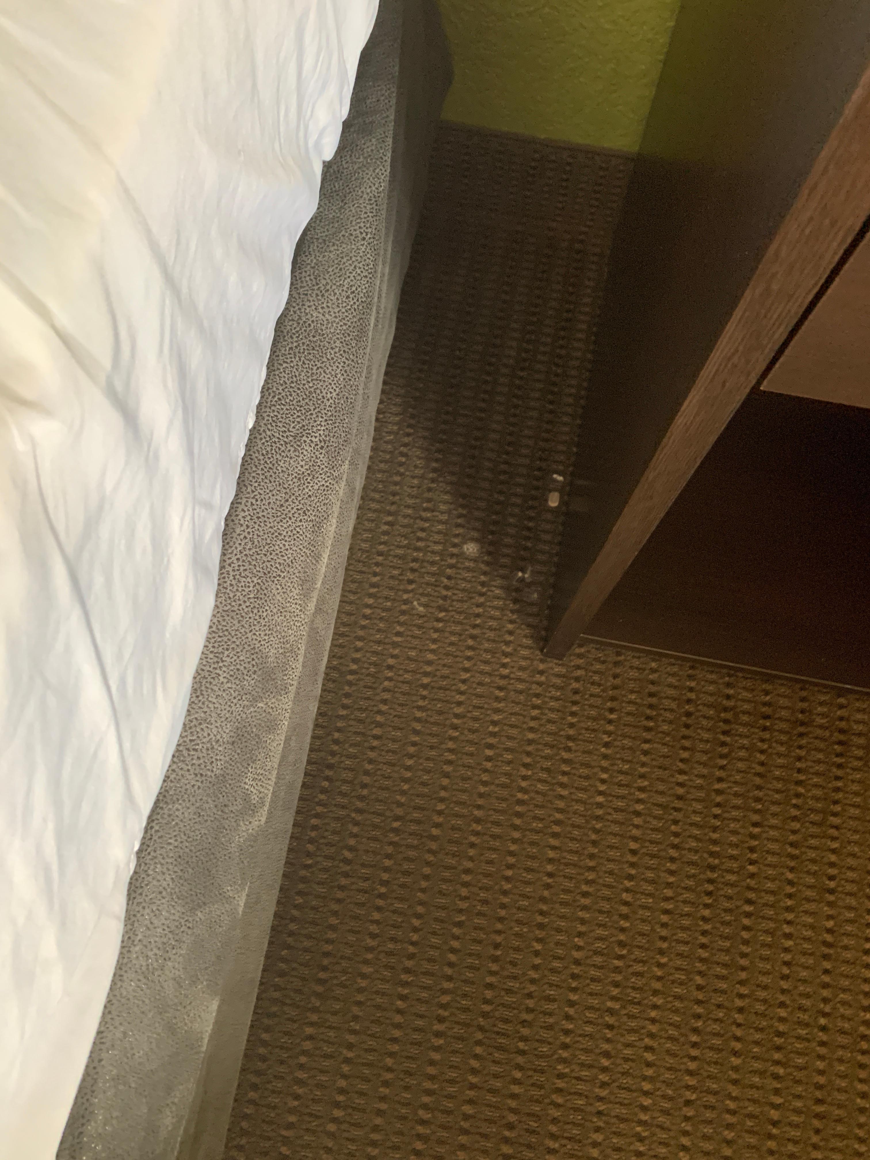 Food and fingernail and debris on the floor when we came in!!