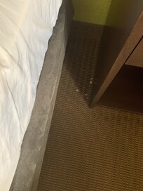 Food and fingernail and debris on the floor when we came in!!