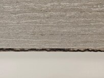 Shower mildew