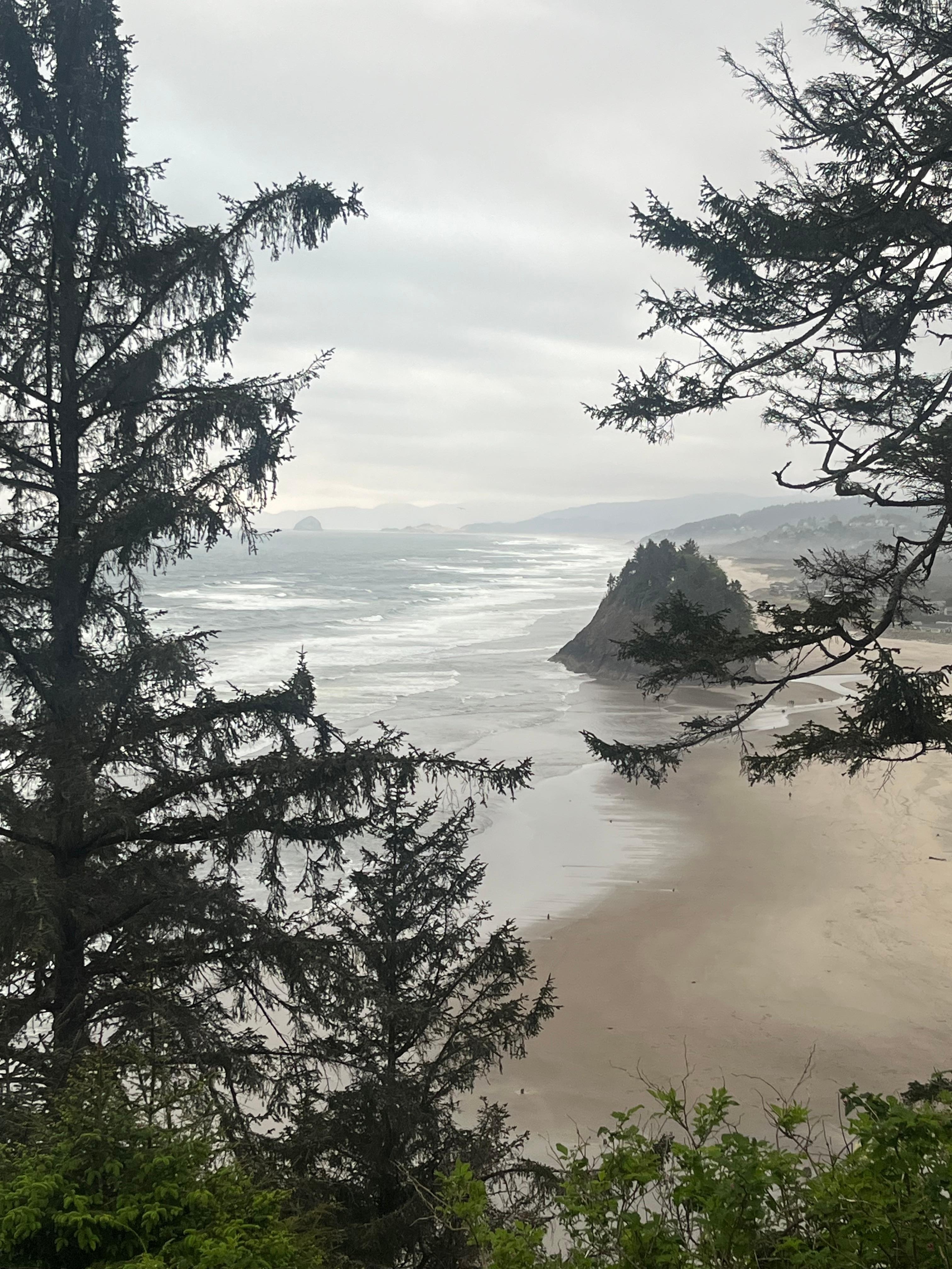 View from the deck