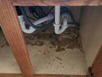 Sewer Leaks