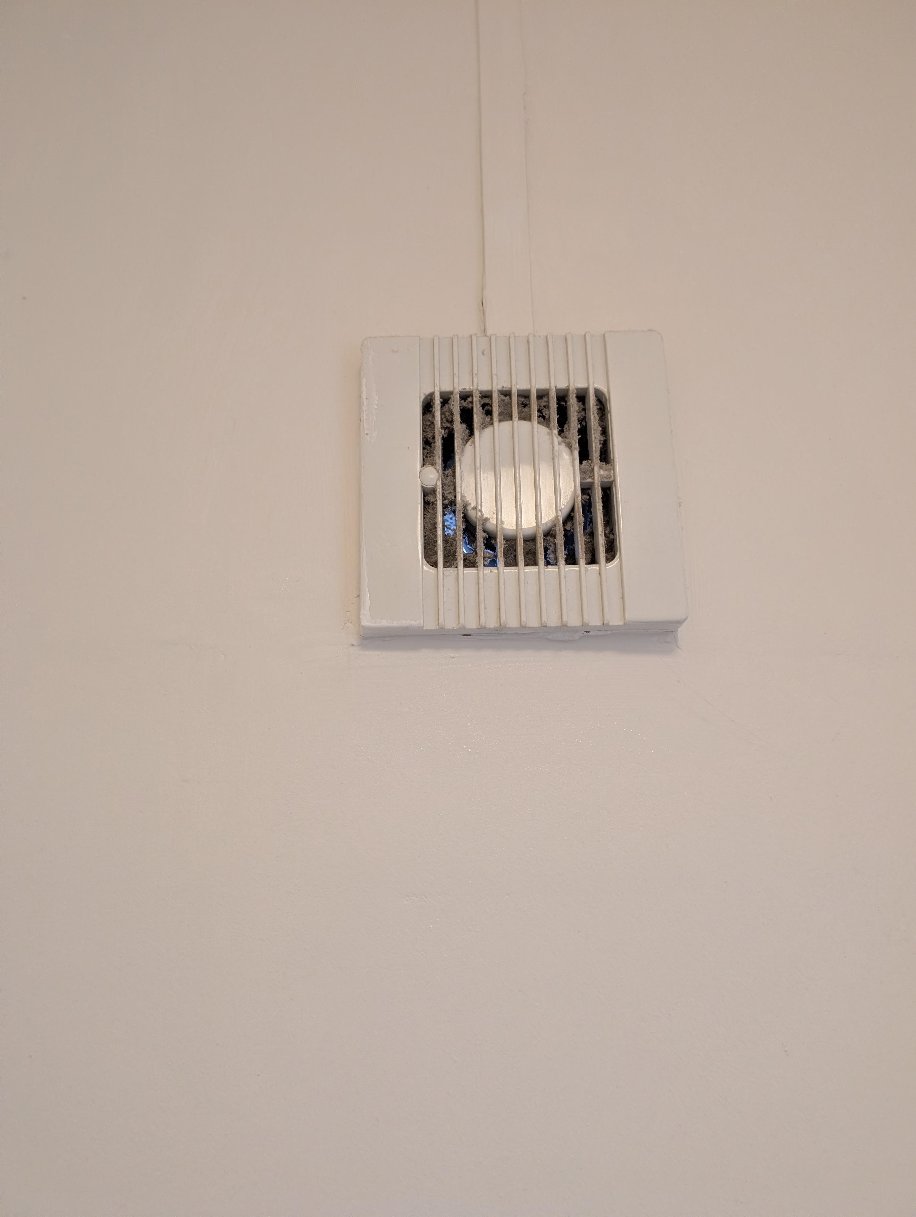 Fan hadn't been cleaned a a while