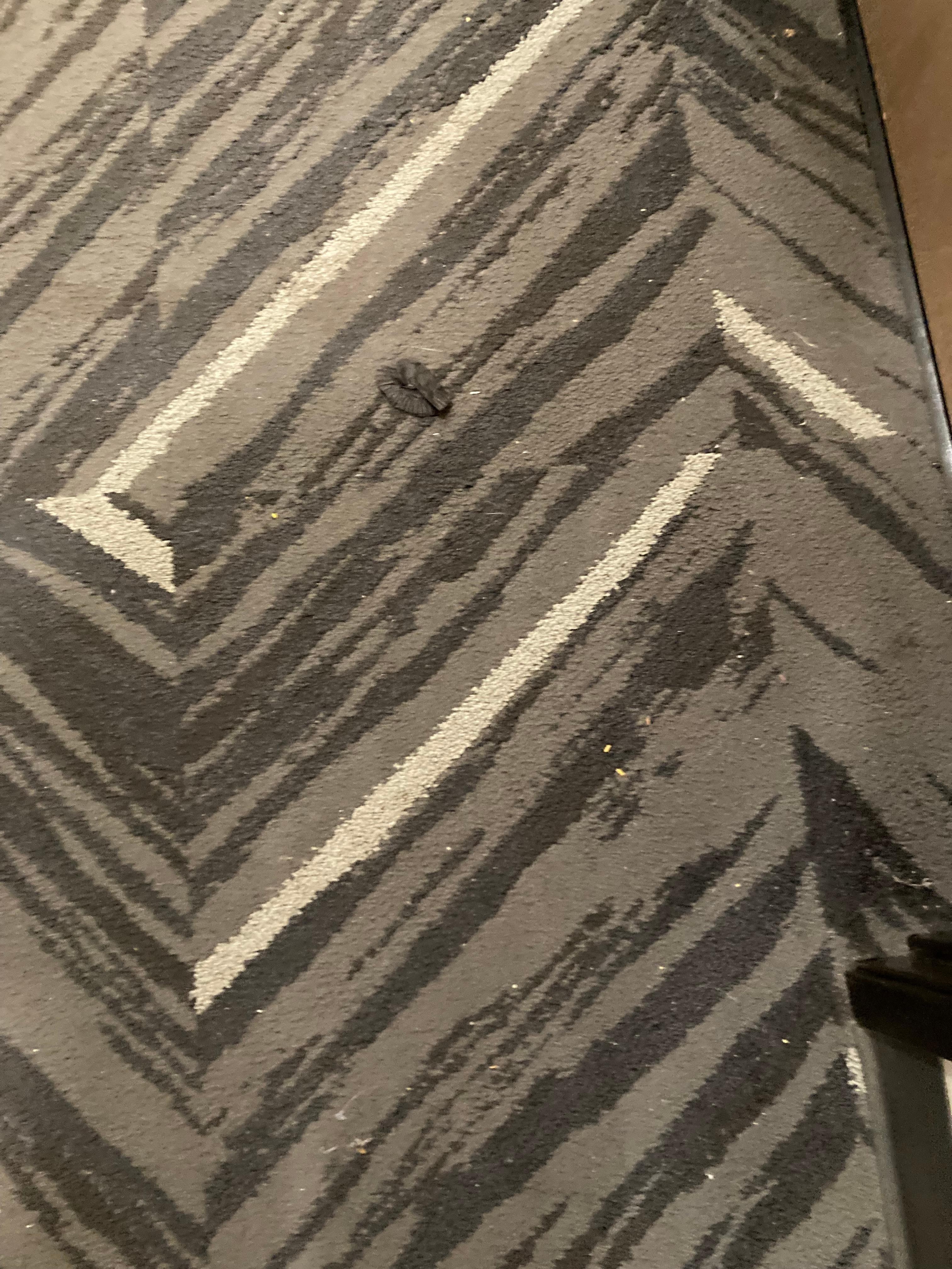 Not what you’re thinking but needed cleaned up.