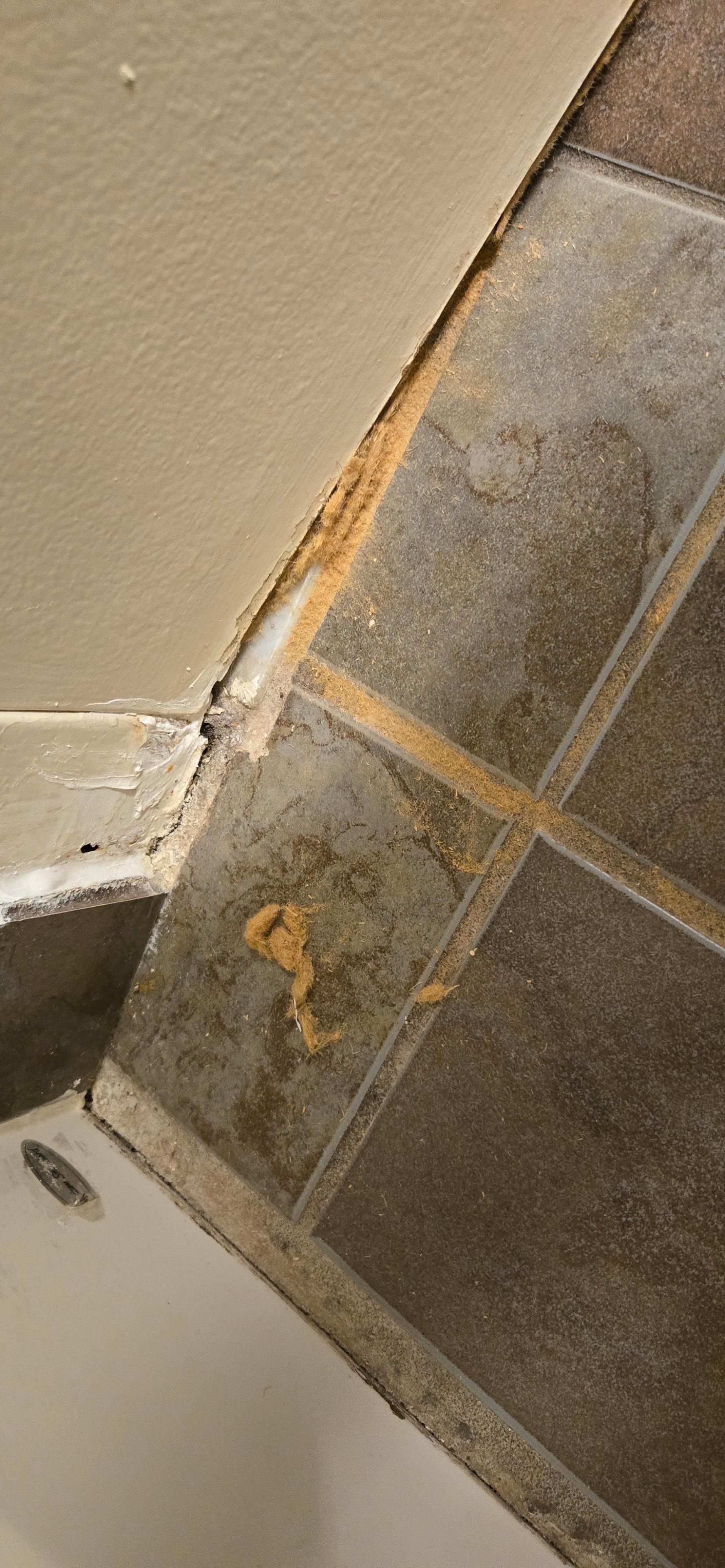 Sawdust from door that didn't close , also had bugs that bite when sleeping 