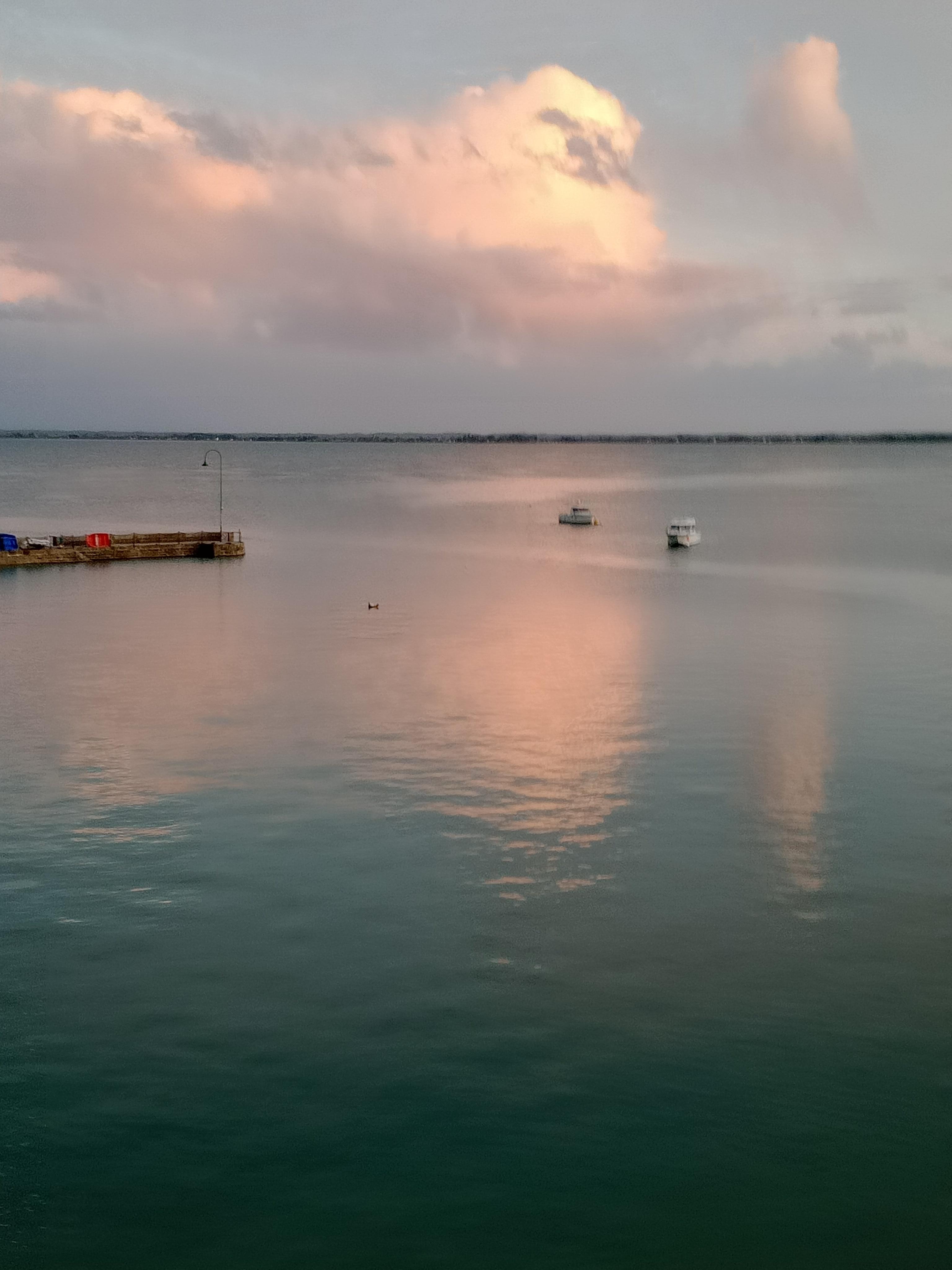 le chien de ma grande tante est monté au ciel (vu du 2nd étage)