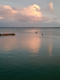 le chien de ma grande tante est monté au ciel (vu du 2nd étage)