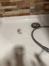 previous guest hair???