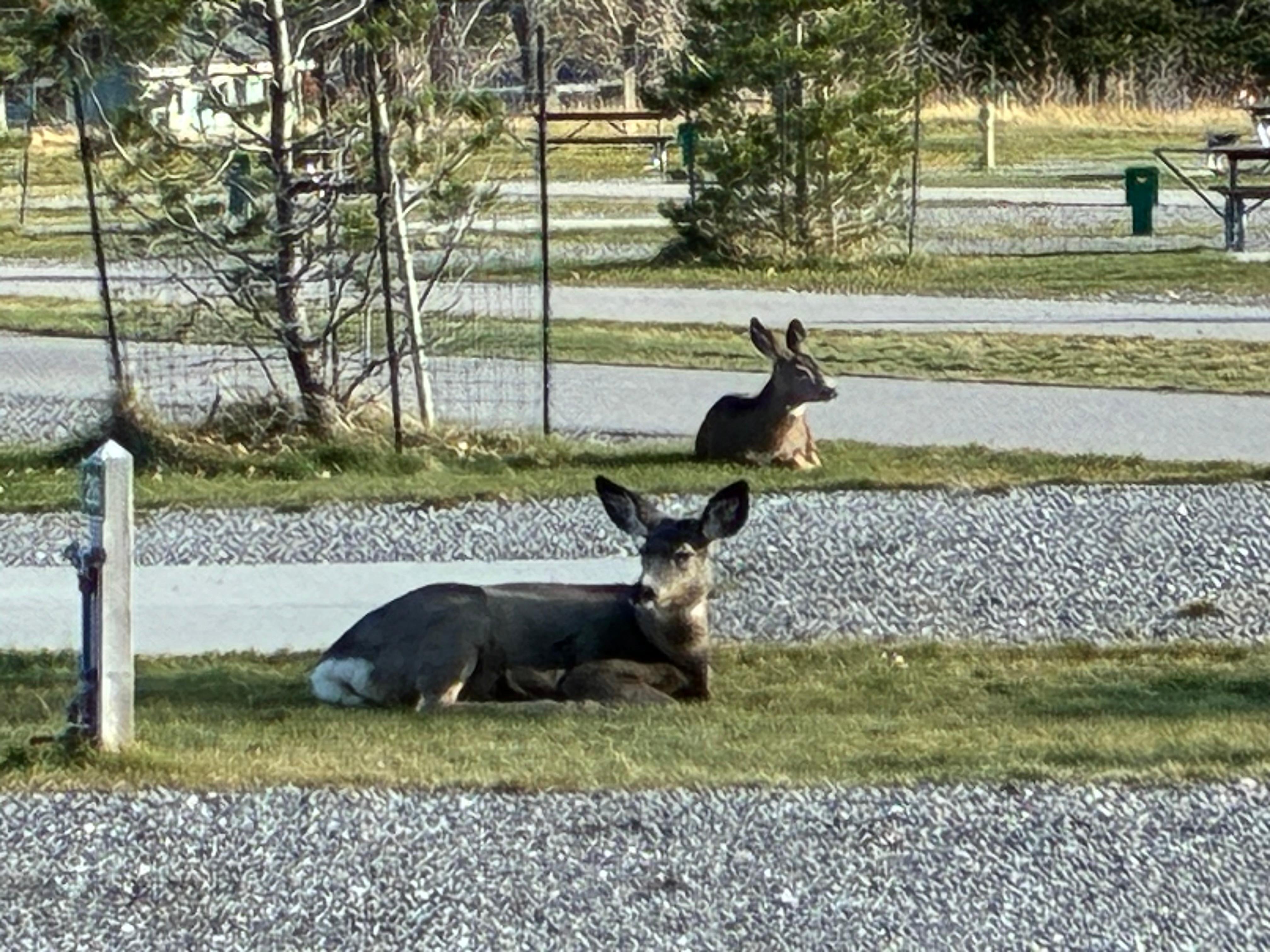 November campers are different from summer ones