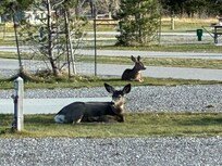 November campers are different from summer ones