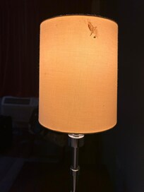 Appears to have blood on the lampshade