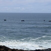 Watching whales and whale watchers watching whales