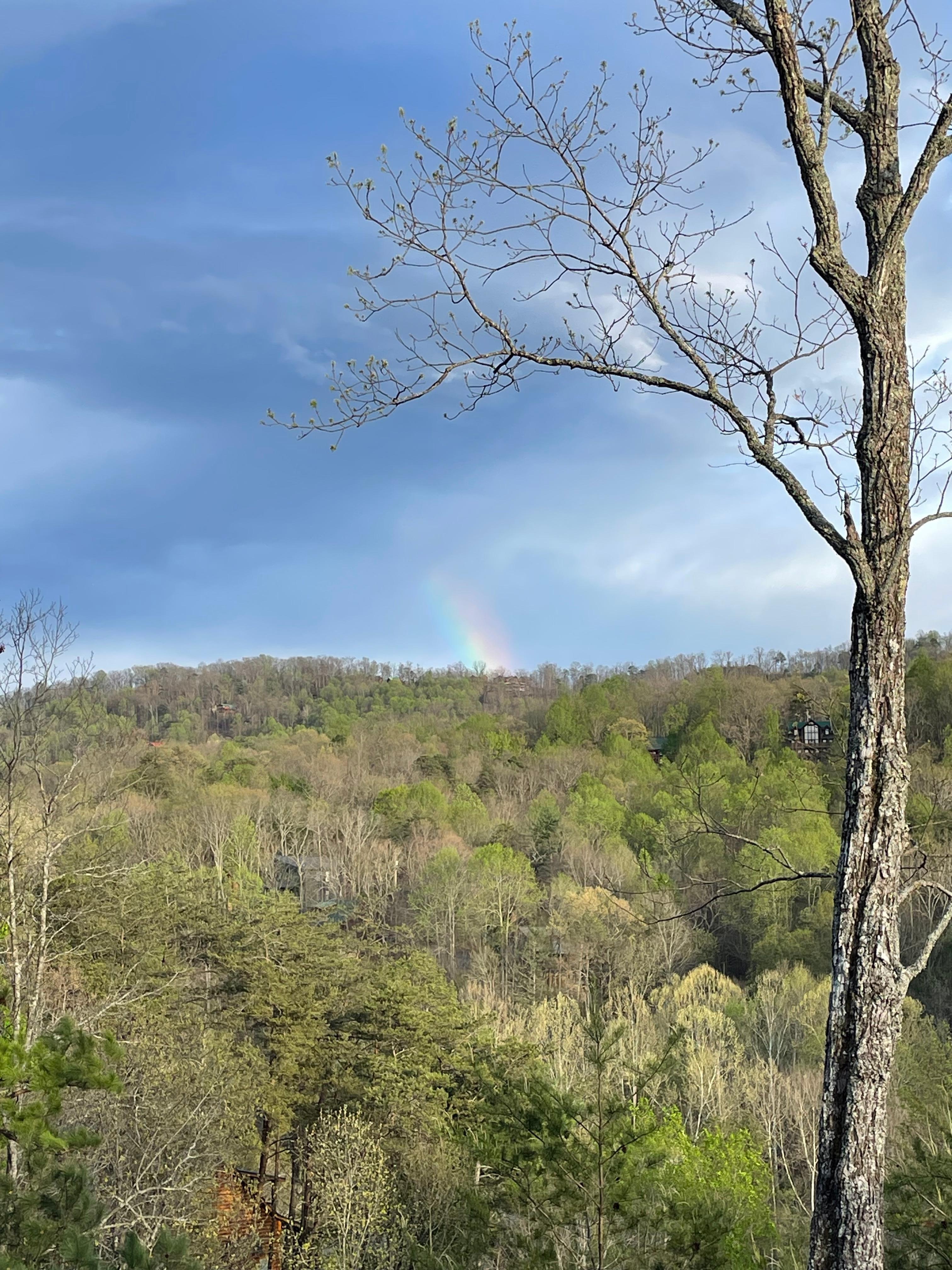 View from the hot tub.  