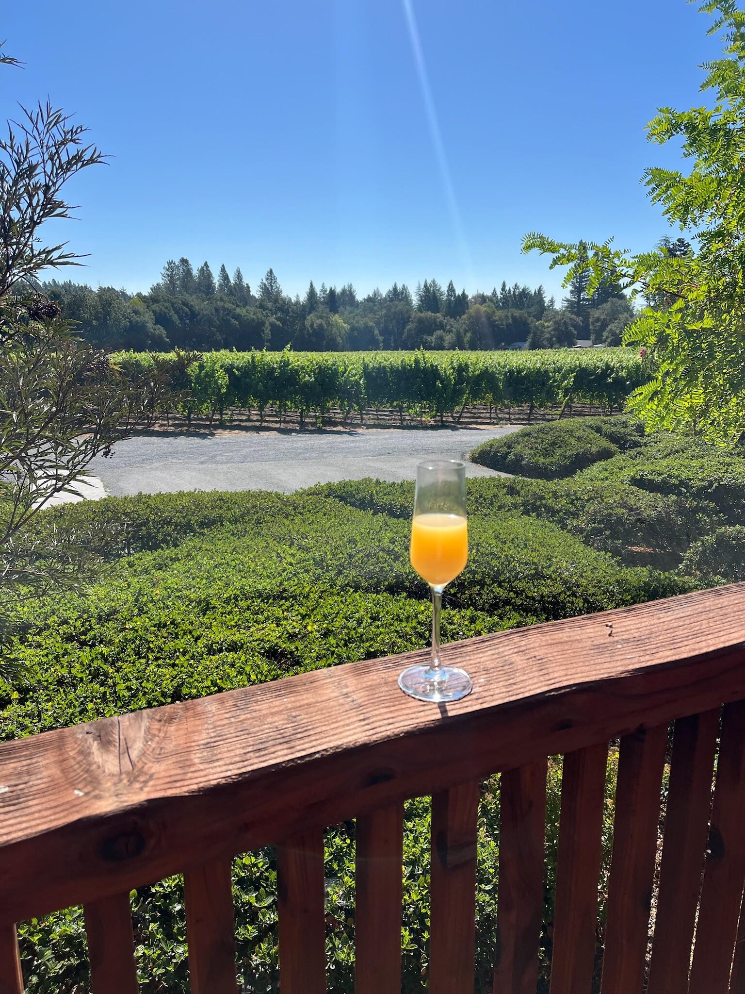 Monday morning mimosa 