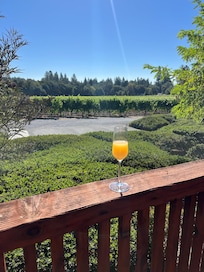 Monday morning mimosa