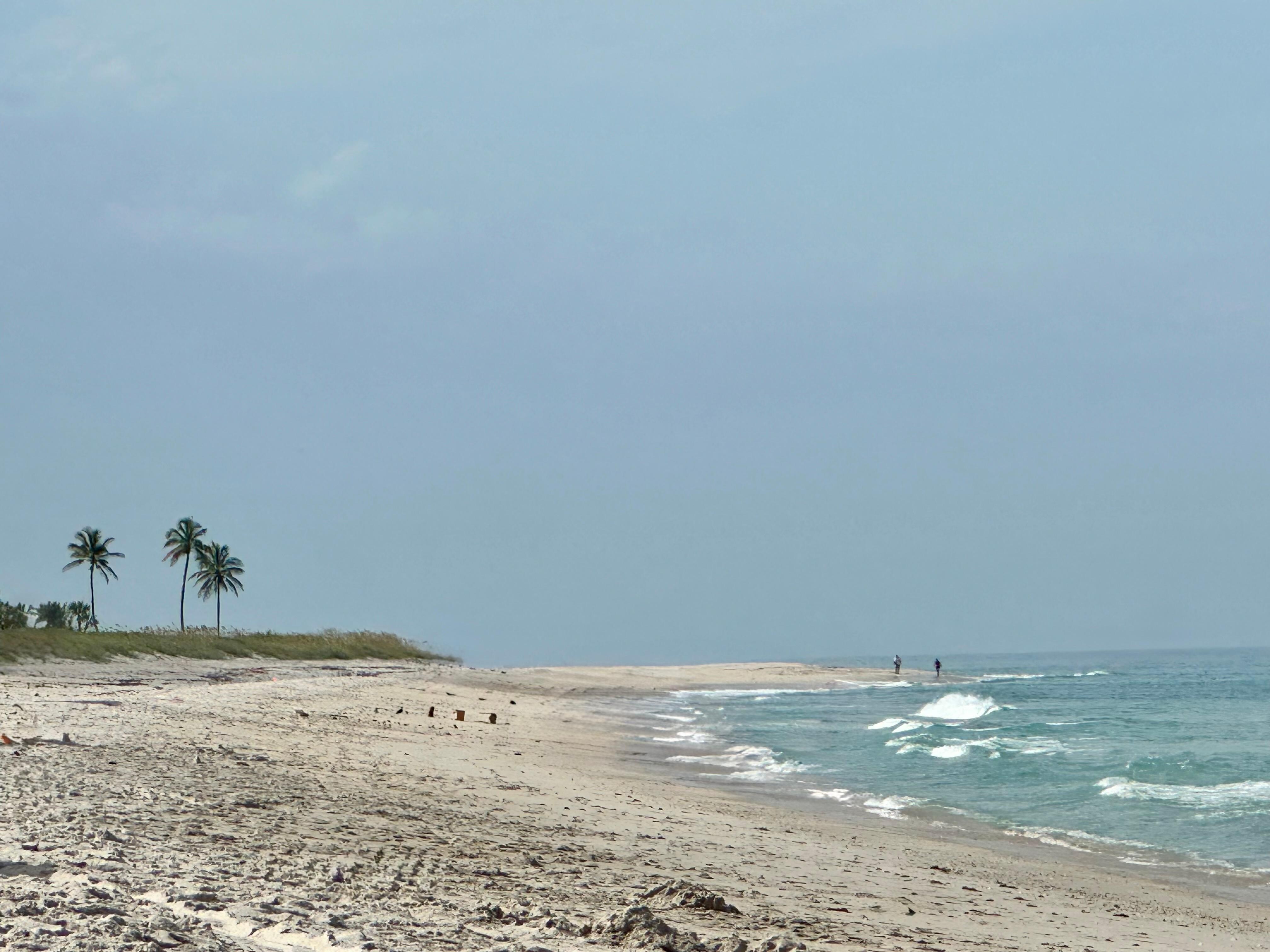Nearby South Beach Park