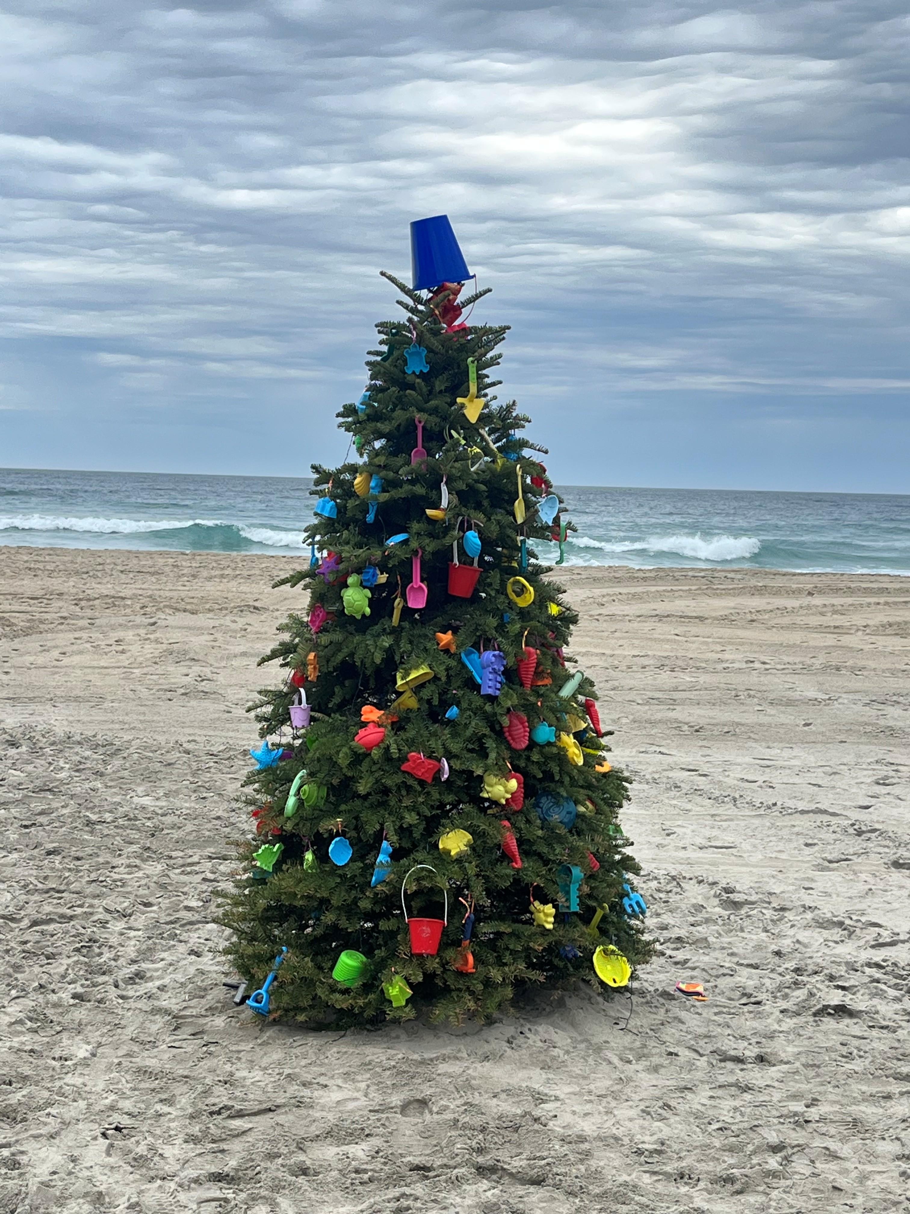 We loved seeing this Christmas beach tree from the patio!