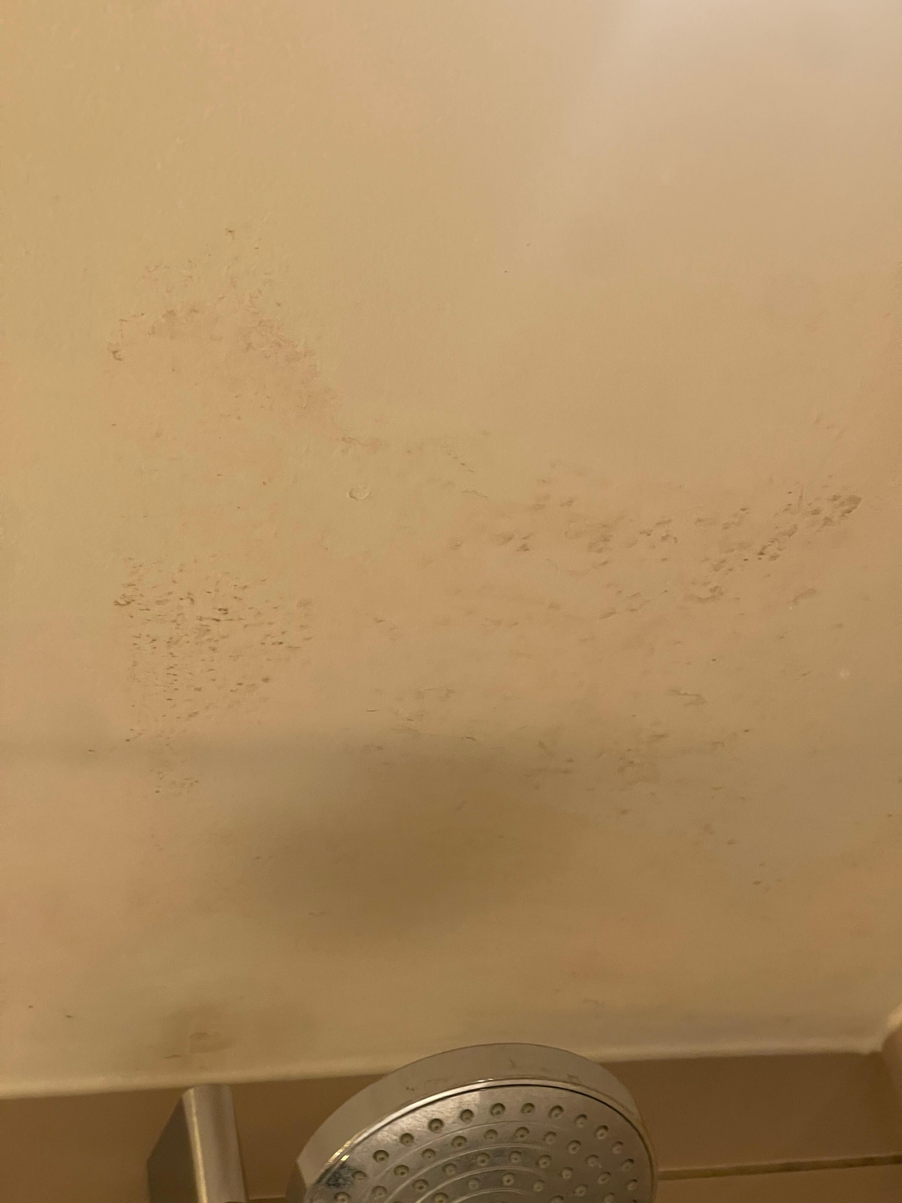 Mold