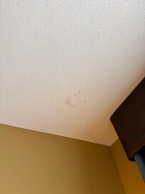 Ceiling stain