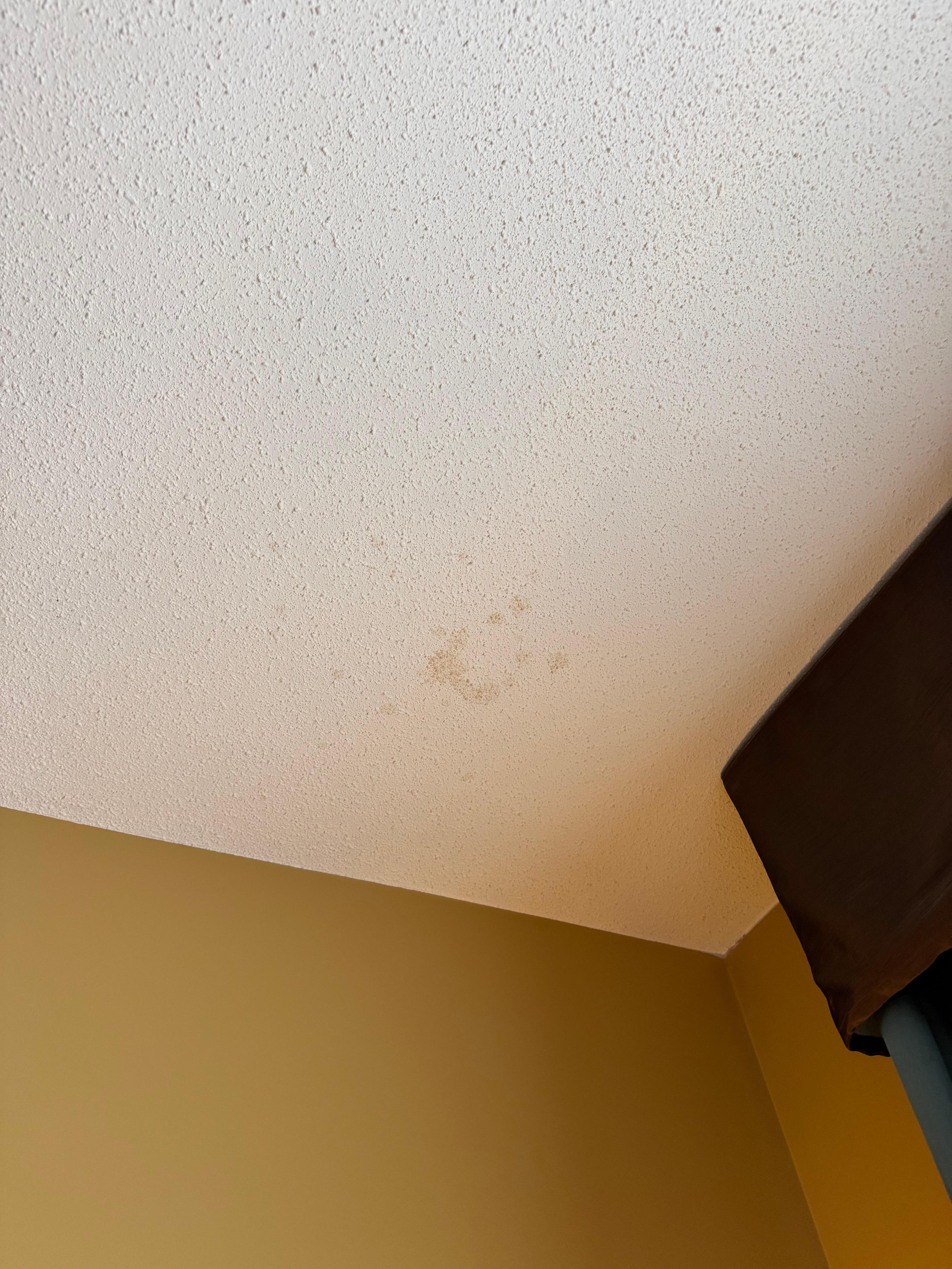 Ceiling stain
