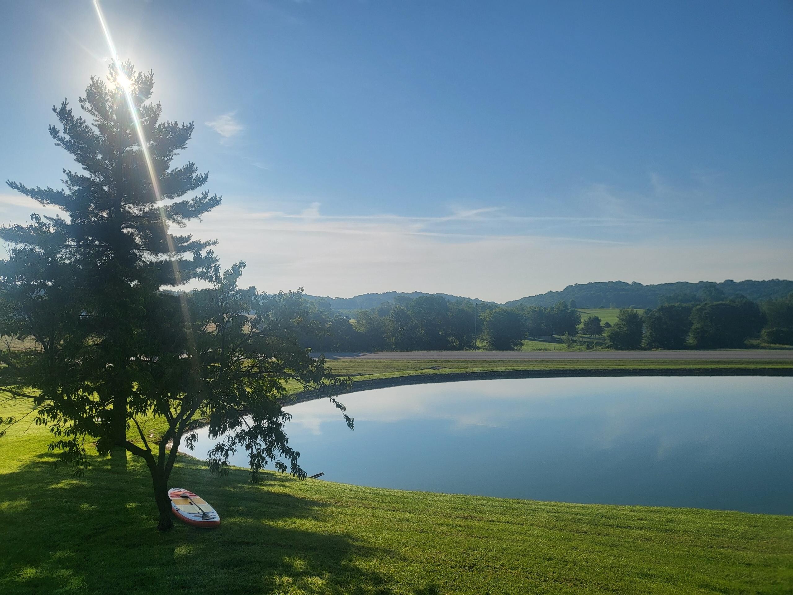 The  view from the family dining table!