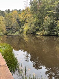View from back deck