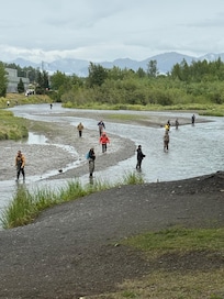 This was in the Ship Creek right outside the back door of hotel. Salmon were running.