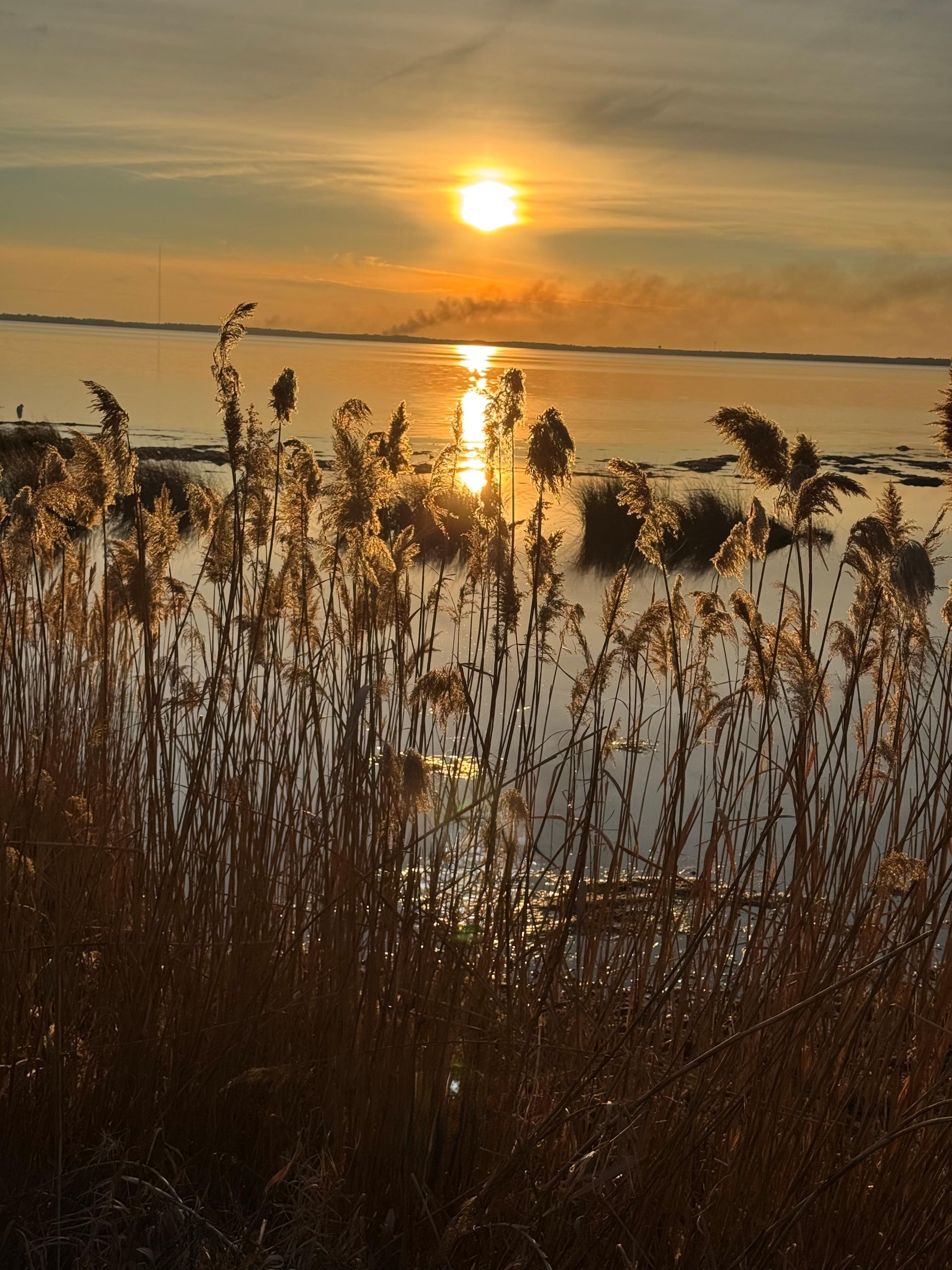 Sunset at the Duck Boardwalk 
