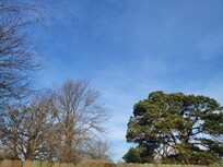 We were so busy having fun, the only picture I took was sitting outside in the back yard enjoying my morning coffee listening to the birds! 🐦