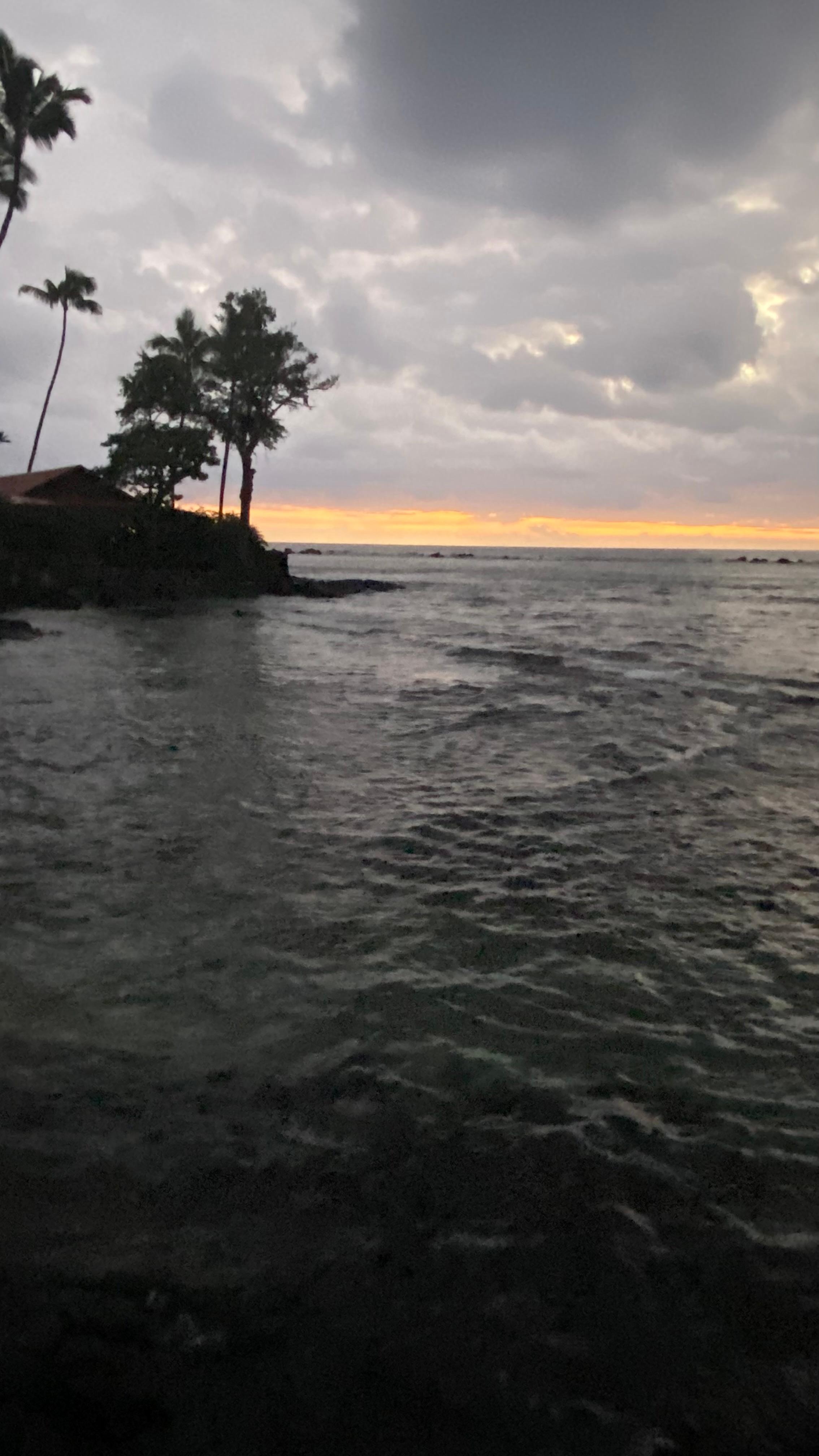 Evening across from condo