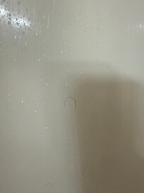 Unknown hair