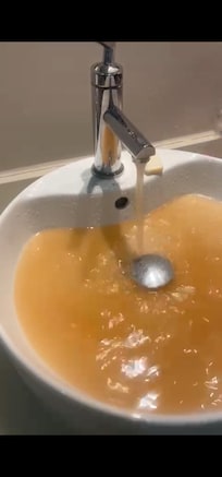 The water was literally brown . I wish I can add videos