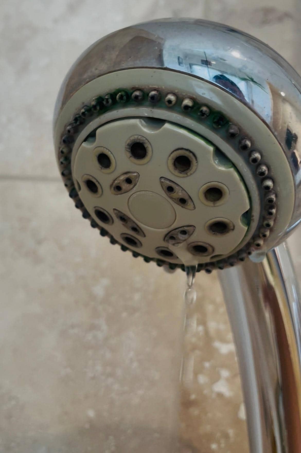 Shower head main bath - mould