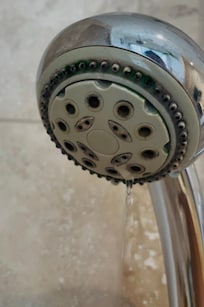 Shower head main bath - mould