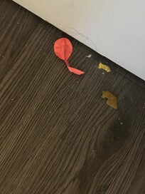 First room on the floor near the closet