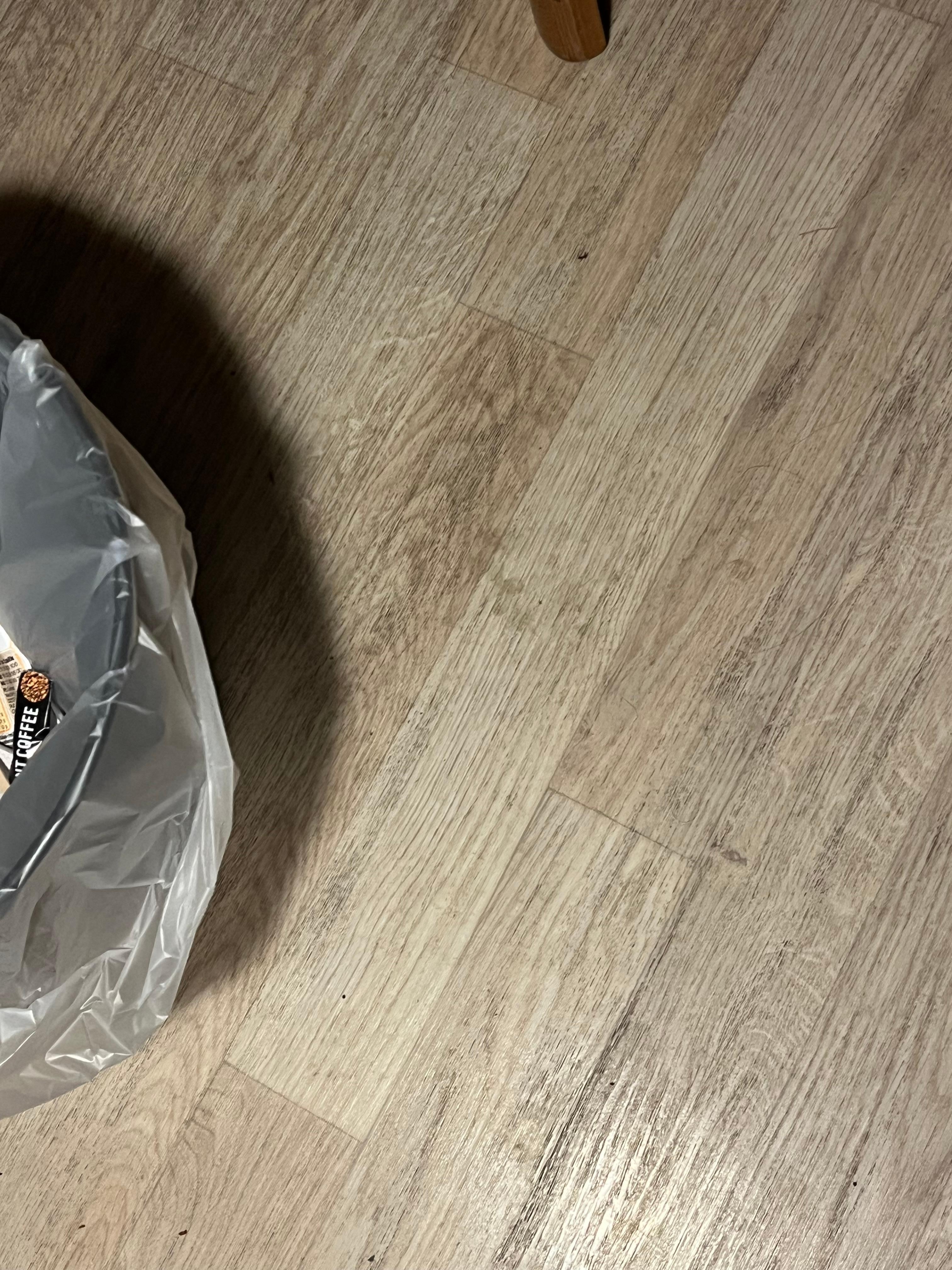 Fodspor fra sne/vand