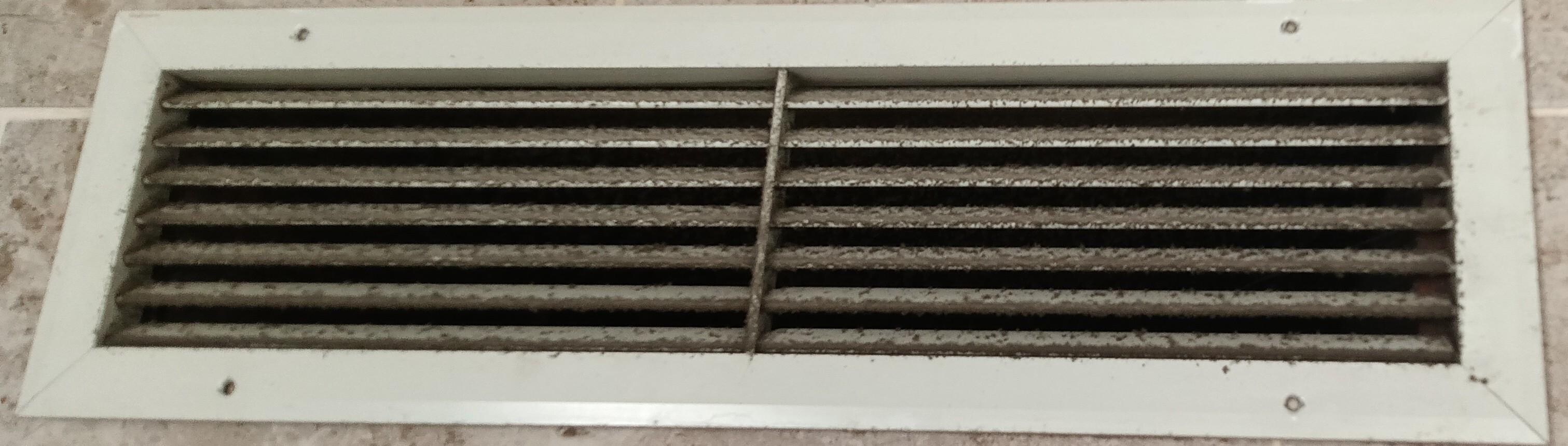 Mold in air vents very unhealthy
