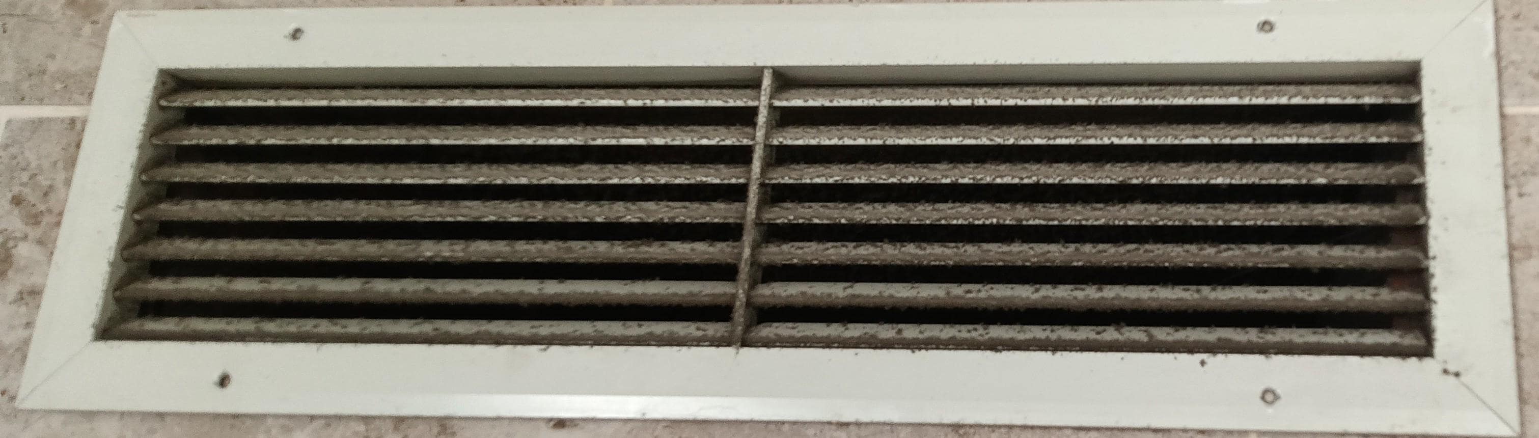 Mold in air vents very unhealthy