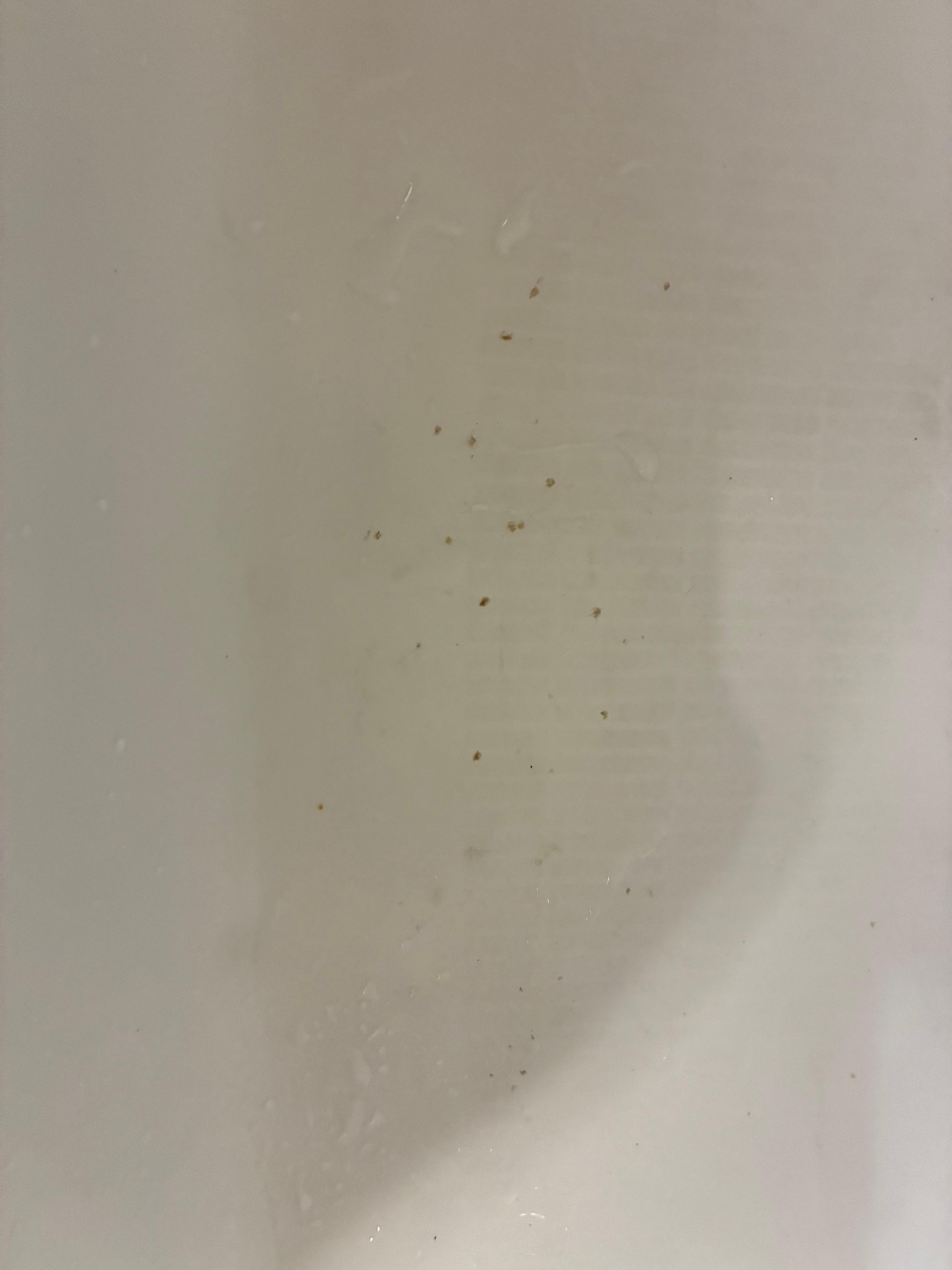Rust in the tub. Cooper colored dots in picture