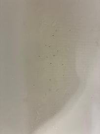 Rust in the tub. Cooper colored dots in picture